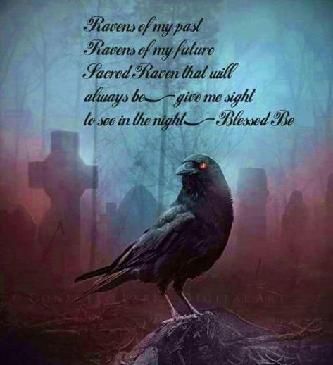 Raven Spirit Animal, Crow Spirit Animal, Raven And Wolf, Pagan Magic, Witch Quotes, Animal Spirit Guides, Wiccan Spell Book, Raven Art, Witchcraft Spell Books