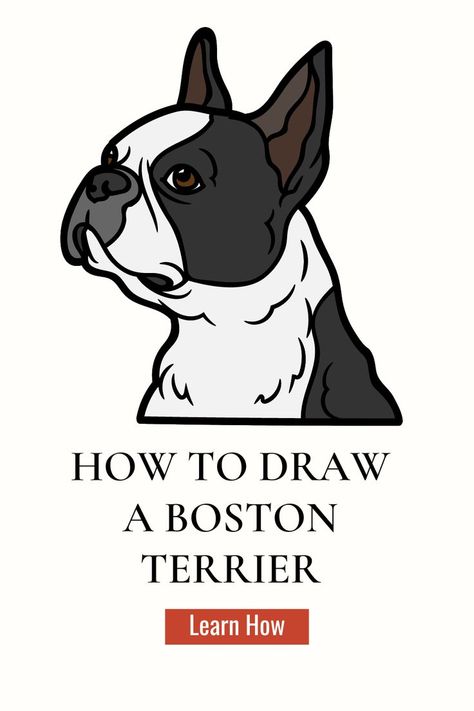 Draw Boston Terrier, How To Paint A Boston Terrier, How To Draw Boston Terrier, How To Draw A Boston Terrier Easy, Boston Terrier Painting Easy, Boston Terrier Drawing Easy, Boston Drawing, Boston Terrier Art Illustrations, Boston Terrier Drawing