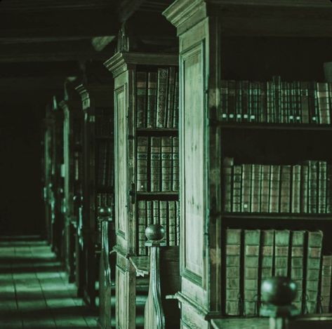 Rabastan Lestrange, Hogwarts Library, Slytherin Wallpaper, Green Academia, Draco Malfoy Aesthetic, Slytherin Pride, Buku Harry Potter, Dark Green Aesthetic, Slytherin House