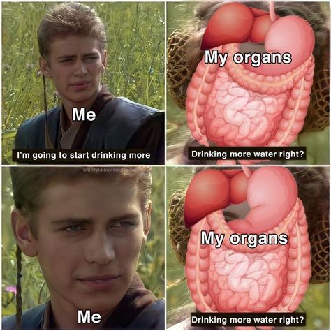 Water Meme, Drinking More Water, Dry Humor, Bad Memes, Fresh Memes, More Water, Funny True Quotes, Funny Dude, Star Wars Memes