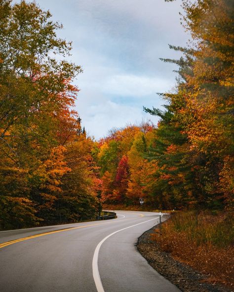 hello from New England, specifically New Hampshire currently 🍂🍁🤎 these were my favorites from yesterday, driving the moody Kancamagus Highway - which we are doing again today since the weather is clear. ••• 📸: #fujifilmxt30 New Hampshire Aesthetic, Kancamagus Highway, My Favorites, New Hampshire, Hampshire, New England, England, Photographer, Quick Saves