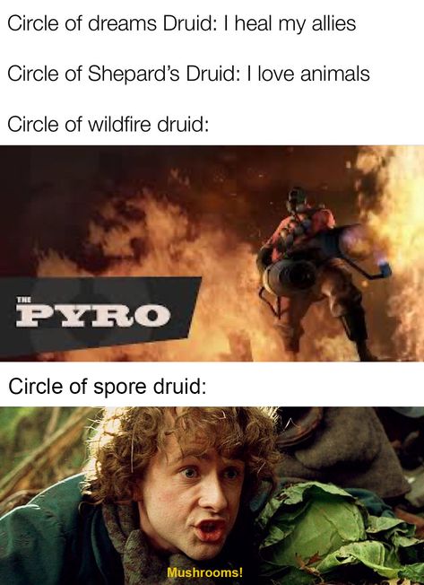 Important addition to the recent wildfire druid meme  . . . #dnd #rpg #tabletop #geek #miniatures #dungeonsanddragons #tabletoprpg #boardgames #dnd5e #criticalrole #DM #pathfinder #dungeons #dragons #paintingminis #paintingminiatures #roleplay #roleplaying #tabletoproleplaying Dnd Wildfire Druid, Dungeons And Dragons Druid, Wildfire Druid, Druid Dnd, Rogue Dnd, Dm Ideas, Funny Dnd, Dnd Druid, Motivational Board