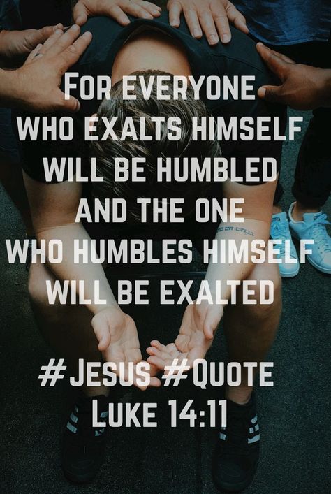 Being Humble, Peace Scripture, Audio Bible, Daily Bible Reading, Bible Versions, Favorite Bible Verses, Verse Of The Day, Read Bible, Bible App