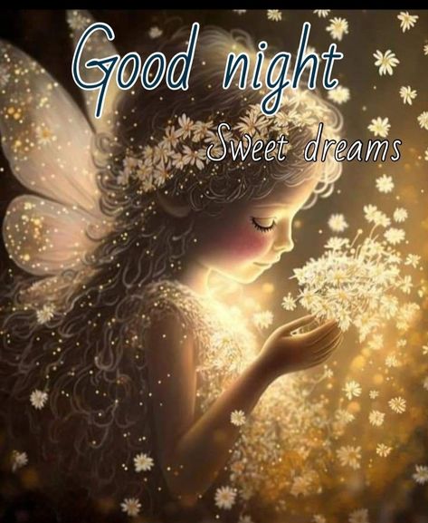 Beautiful Good Night Images Sweet Dreams, Good Night Sweet Dreams Quotes, Goodnight Cute Images, Goodnight Sweet Dreams, Good Night Angel, Sweet Dreams Pictures, Good Night Beautiful, Good Night Funny, Good Morning Sweetheart Quotes