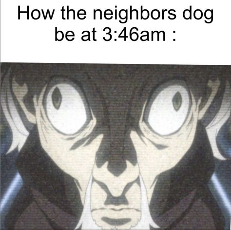 #bsd #БСД #bsdmemes Eyes Meme, Ugly Cat, Bsd Memes, Silly Dogs, Boy Meets, I Have No Friends, Dog Memes, Funny Anime Pics, Bungo Stray Dogs