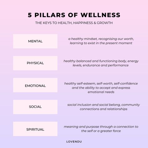 Mental Physical And Emotional Health, 5 Pillars Of Wellness, Physical Mental Emotional Spiritual, Pillars Of Wellness, Pillars Of Health, Financial Literacy Lessons, Health Mindset, 5 Pillars, Army Couple