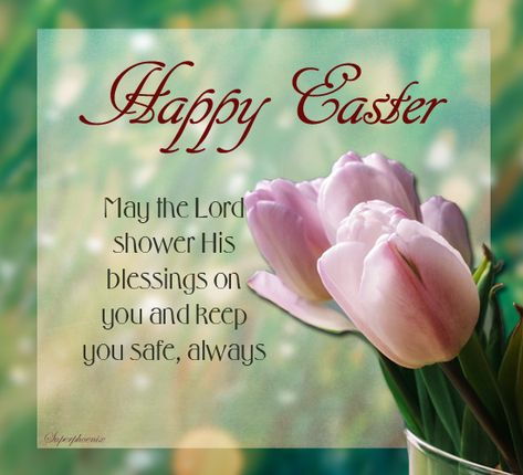 For A Safe And Blessed Easter. Free Happy Easter eCards, Greeting Cards | 123 Greetings Easter Wishes Messages, Happy Easter Wallpaper, Happy Easter Messages, Happy Easter Pictures, Happy Easter Quotes, Blessed Easter, Easter Prayers, Happy Easter Sunday, Easter Greetings Messages