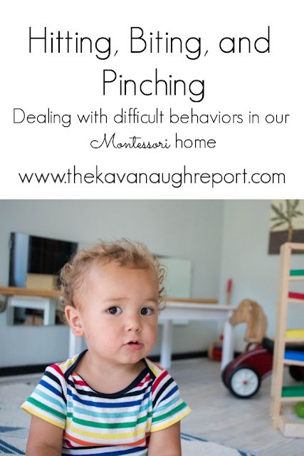 Hitting, Biting, Pinching -- Montessori Young Toddler Weeks 31 to 33 Hitting Toddler, Montessori Home, Montessori Teacher, Montessori Parenting, Toddler Biting, Toddler Behavior, Montessori Toddler Activities, Toddler Discipline, Confidence Kids