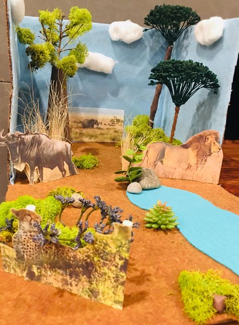 Shoe Box Diorama, Habitat Diorama, Biomes Project, Elephant Habitat, Habitats Projects, Animal Habitat, African Savanna, Animal Adaptations, Animal Habitats