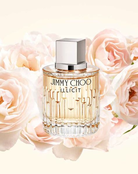 Jimmy Choo Illicit, Jimmy Choo Fragrance, Flower Fragrance, Image Skincare, Fragrance Collection, Signature Scent, Timeless Accessories, Natural Fragrances, Favorite Scents