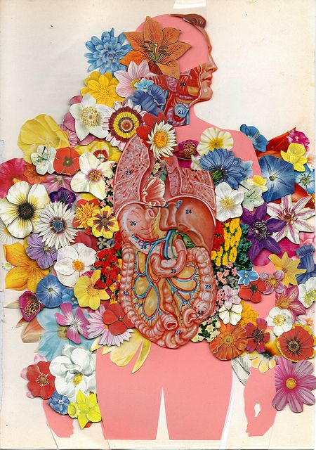 Lobelia Cardinalis, Flower Anatomy, Magazine Collage, Gcse Art, Vintage Collage, Retro Futuristic, Anatomy Art, Art Portfolio, Photography Portfolio