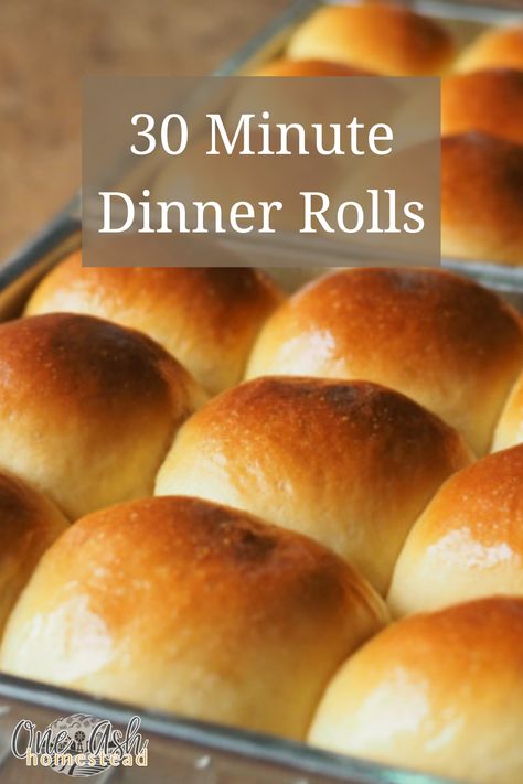 1hour Dinner Rolls, One Hour Dinner Rolls Simple, Quick Dinner Rolls Using Mayonnaise, Betty Crocker Quick Sour Cream Dinner Rolls, Homemade Buns Easy Simple, Fast And Easy Dinner Rolls, 30 Mins Dinner Recipes, Quick Bread Rolls Easy Recipes, 3 Ingredient Dinner Rolls