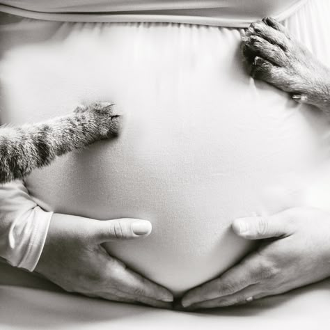 Pregnant Cat Photoshoot, Maternity Photo With Cat, Maternity With Dog Photography, Pet Maternity Shoot, Maternity Shoot With Cat, Cute Diy Maternity Pictures, Maternity Photo Shoot Ideas With Pets, Maternity Shoot With Pets, Maternity Photography With Pets