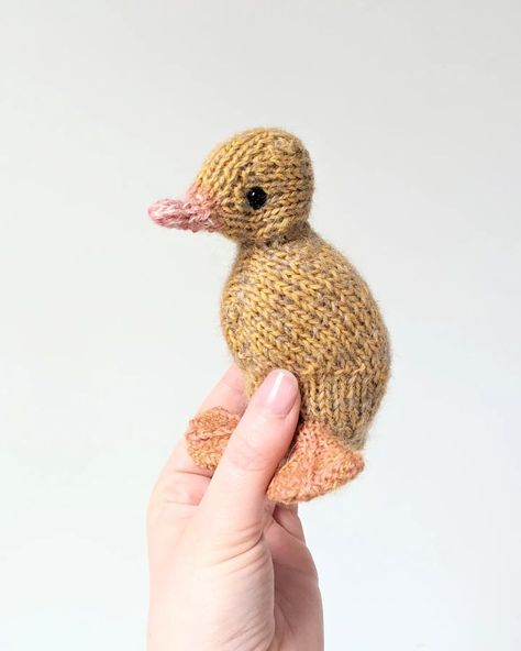 India Crawford-Scott on Instagram: “Easter Duckling 💖☀️🥚🐤💖✨ Duckling pattern by @dotpebbles_knits #duck #ducklingsofinstagram #duckling #knitted #dotpebblesknits…” Knitted Duck, Knit Duck, Baby Sweater Patterns, Duck Toy, Knit Baby Sweaters, Knitting Patterns Toys, Baby Ducks, Pre School, Knitting Accessories