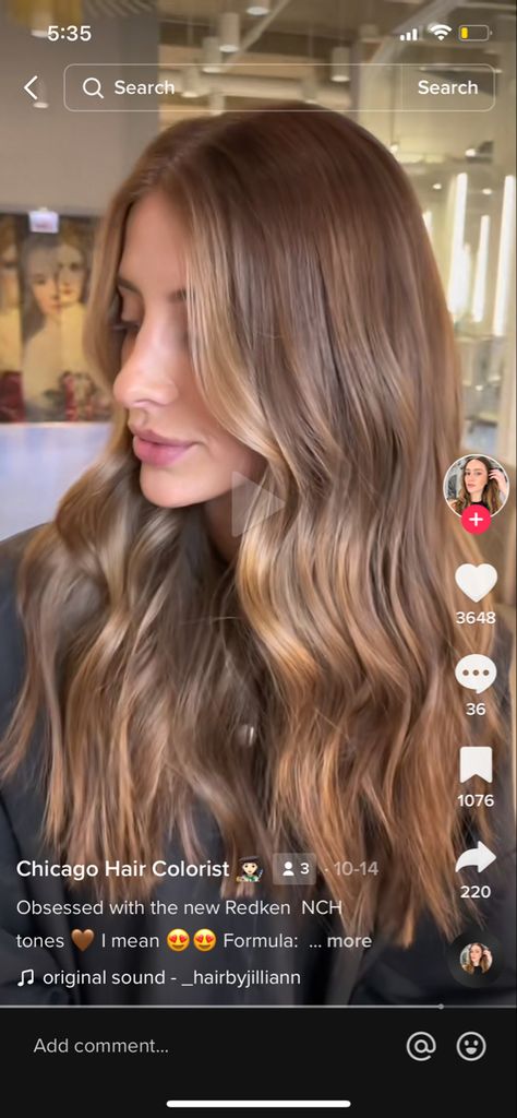 Warm Brown Hair, Golden Brown Hair, Honey Brown Hair, Brown Hair Inspo, Bronde Hair, Dirty Blonde Hair, Caramel Hair, Honey Blonde Hair, Brown Hair Balayage