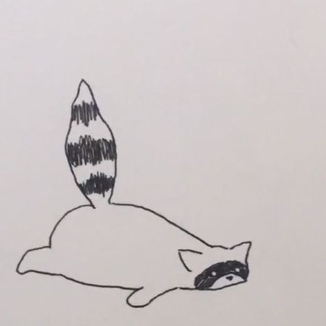 Silly Raccoon Drawing, Tiny Raccoon Tattoo, Raccoon Sketch Simple, How To Draw Raccoon, Simple Raccoon Drawing, How To Draw A Raccoon, Raccoon Drawing Cute, Racoon Drawings Easy, Racoon Tattoo Simple