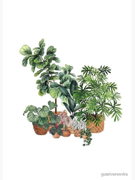 Houseplant Illustration, Pinterest Stickers, Botanical House, Plants Painting, Poster House, Plant Illustrations, Plants Illustration, Landscape Inspiration, Plant Painting