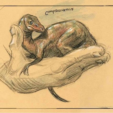 Compsognathus Tattoo, Compsognathus Drawing, Compy Dinosaur Art, Compsognathus Art, Compy Dinosaur, Draw Dinosaur, Dinosaur Stuff, Dino Drawing, Feet Drawing