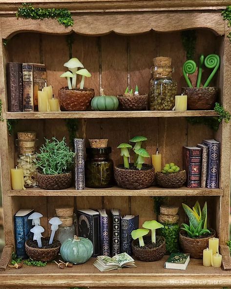 Mini Cabinet Of Curiosities, Witchy Dresser, Cute Cottage Interior, Witchy Dollhouse, Miniature Shelves, Miniature Apothecary, Fairy House Crafts, Bookshelf Art, Vitrine Miniature