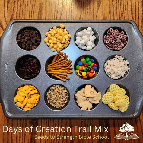 Days of Creation Trail Mix Sweet And Salty Trail Mix, Salty Trail Mix, Sunday School Snacks, Trail Mix Snack, Camp Snacks, Study Snacks, Strength Bible, Mini Wheats, Trail Mix Recipes