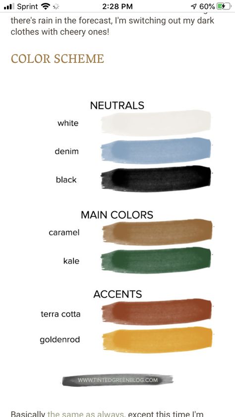 Dark Green Color Palette Outfit, Forest Green Color Palette Outfit, Earth Colors Outfit Aesthetic, Dark Green Capsule Wardrobe, Earth Tones Wardrobe, Capsule Wardrobe Green Color Palettes, Earth Tone Color Palette Clothes, Capsule Wardrobe Earth Tones, Earth Tone Capsule Wardrobe