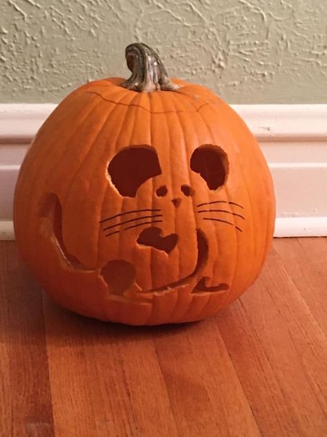 Hamster Pumpkin Carving, Mouse Pumpkin Carving, Rat Pumpkin Carving, Hamster Pumpkin, Halloween Hamster Cage, Cat Inside Pumpkin, Hash Slinging Slasher Pumpkin, Funny Paintings, Animal Print Wallpaper