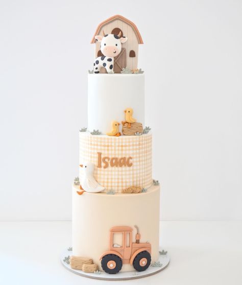 Cake Farm Theme, Farm Party Cake, Farm Animal Cake, Farm Theme Cake, Tractor Birthday Cakes, Barnyard Cake, Farm Animal Cakes, Farm Cake, Tractor Birthday