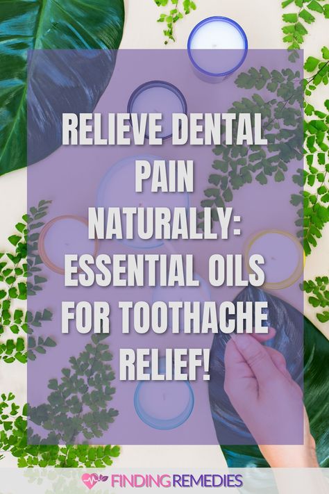 Relieve Dental Pain Naturally: Essential Oils for Toothache Relief! Essential Oils For Tooth Pain, Essential Oils For Toothache, Oils For Tooth Ache, Cavity Pain, Pain Relief Essential Oils, Toothache Relief, Toothache Remedies, Tooth Pain Remedies, Toddler Tooth Decay