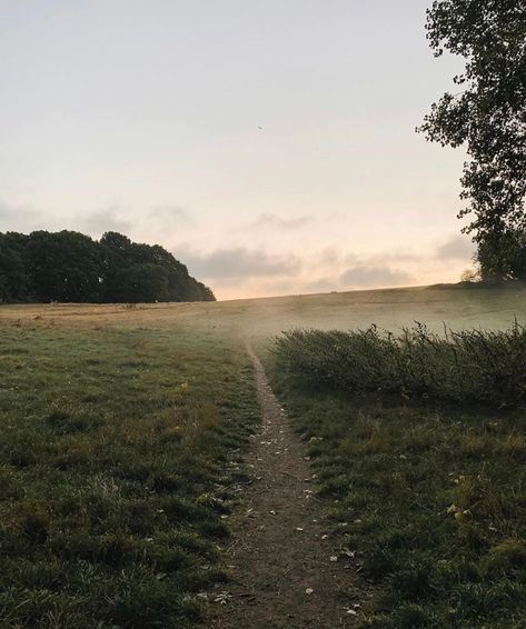 A Night At The Opera, Morning Mist, Nature Aesthetic, Pretty Places, Perfect Day, Country Life, Farm Life, Early Morning, Beautiful World