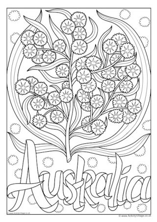 Flowers of the Commonwealth Colouring Pages Flowers Colouring Pages, Flower Colouring, Free Coloring Pictures, Pictures Of Flowers, Australian Flowers, National Flower, Colouring Page, First Day Of Spring, Flower Coloring Pages