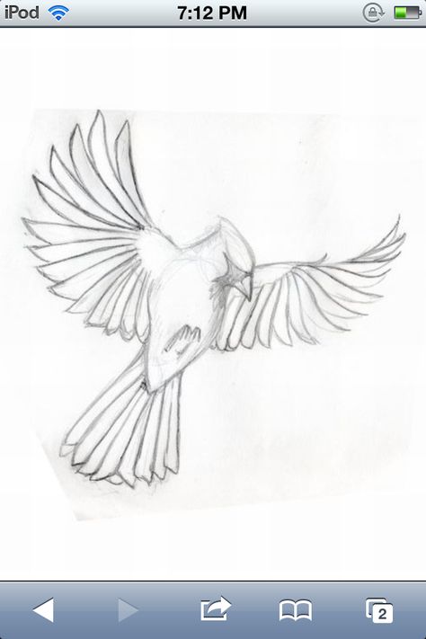 Want it this to be my first tattoo. My grandma loved cardinals and I loved her. Cardinal Flying Tattoo Black And White, Cardinal Tattoo Stencil, Flying Cardinal Tattoo, Small Bird Drawing, Cardinal Sketch, Cardinal Outline, Cardinal Bird Tattoos, Red Cardinal Tattoos, Small Cardinal Tattoo