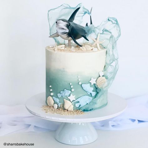 Whale Cakes, Wave Cake, Mini Meringues, Edible Rice Paper, Island Cake, Beach Themed Cakes, Whale Birthday, Ocean Cakes, Shark Cake