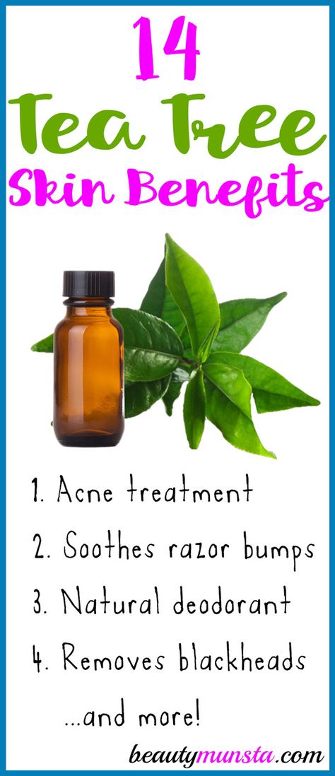 Melaleuca Oil Uses, Tea Tree Oil Skin, Tee Tree Oil, Homemade Medicine, Tea Tree Oil Benefits, Tea Tree Oil Uses, Melaleuca Essential Oil, Natural Beauty Hacks, Green Tea Oil