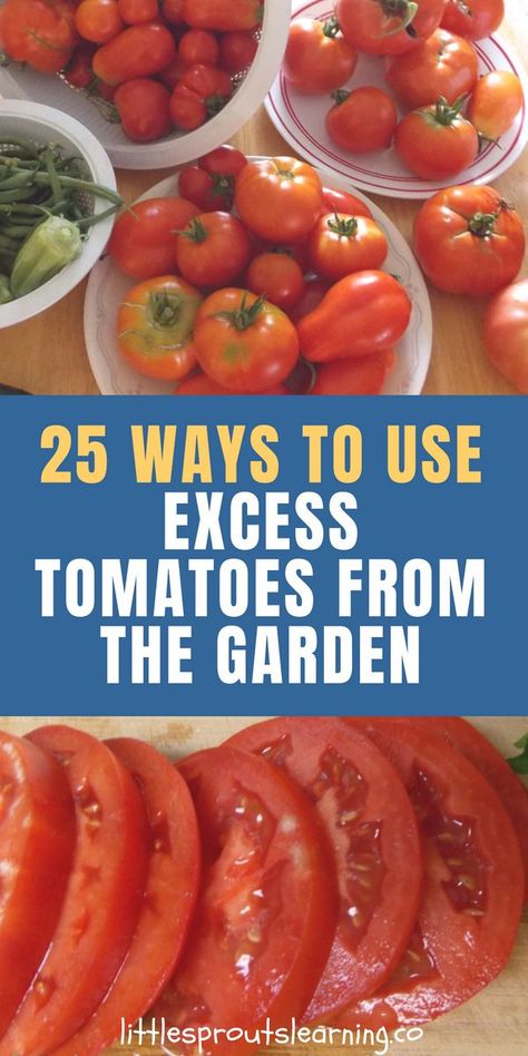 Things You Can Make With Tomatoes, Tomatoes From Garden Recipes, What To Can With Fresh Tomatoes, Use Fresh Tomatoes, Cooking Down Fresh Tomatoes, How To Cook Down Tomatoes, Sauce From Garden Tomatoes, How To Use Up Fresh Tomatoes, Uses For Garden Tomatoes