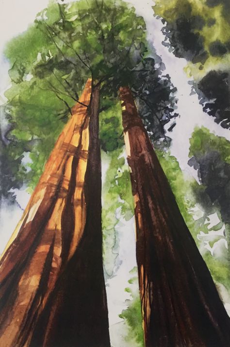 Sequoias Watercolor Art Landscape, Canvas For Beginners, Watercolor Landscape Paintings, Simple Acrylic Paintings, Urban Sketchers, Watercolor Trees, Interior Design Art, Beginner Painting, Tree Painting