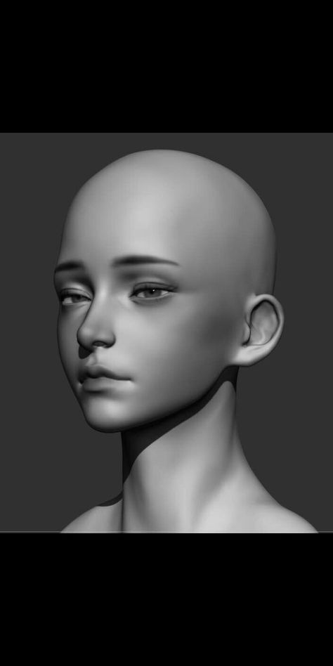 3d Head Reference, Human Head Reference, Yandere Face, Blender Character Modeling, Zbrush Character, Face Profile, Color Palette Challenge, Body Pose Drawing, Background Images Wallpapers