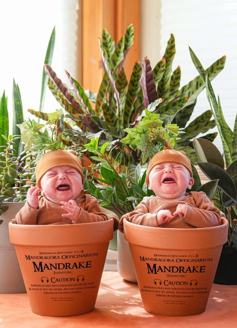 Twin Costume Ideas for Halloween Twin Boy Costume Ideas, Twin Baby Costumes Halloween, Baby Twin Halloween Costumes, Twin Baby Costumes, Twin Costume Ideas, Twins Instagram, Costume Ideas For Halloween, Twin Costumes, Breastfeeding Twins