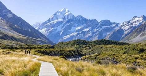 Best things to do in Aoraki / Mount Cook National Park: best hikes, flightseeing, heli-hiking. When to go, how much time, map, photos, tips. Alpine Restaurant, Aoraki Mount Cook, Hermitage Hotel, Alpine Lodge, Mount Cook, Travel 2024, New Zealand Travel, Go Hiking, White Horses