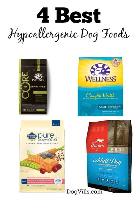 4 Best Hypoallergenic Dog Foods for All Budgets: Looking for the best hypoallergenic dog foods for your pooch with allergies? Check out our picks for the top four tastiest & healthiest! Best Hypoallergenic Dogs, Dog Food Allergies, Hypoallergenic Dog Breed, Hypoallergenic Dog Food, Food For Dogs, Diy Dog Food, Grain Free Dog Food, Dog Foods, Dog Food Brands