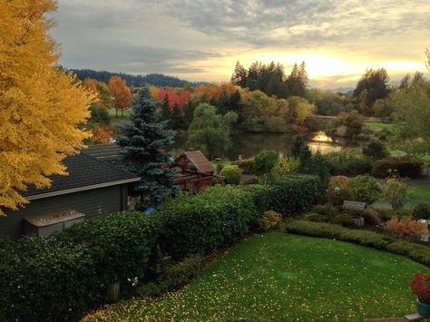 Tigard Oregon, Rose City, Oregon Trail, Summer Lake, In Sign, Beautiful Park, The Net, Pacific Northwest, Us Travel