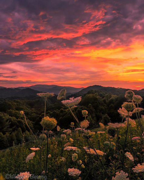 Fiery Sunset, Gorgeous Sunset, Brand Colors, Color Ideas, Beautiful Landscapes, Shades, In This Moment, Natural Landmarks, Orange