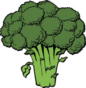 Broccoli  Clip Art Broccoli Drawing, Broccoli Vegetable, Growing Broccoli, Roasted Broccoli, Plant Drawing, Healthy Meals For Kids, Flax Seed, Plant Based Diet, Superfoods