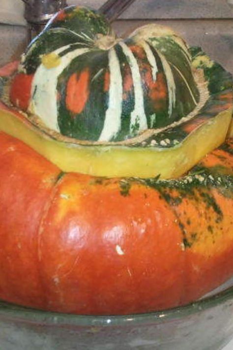 Sausage stuffed Turban Squash Stuffed Turban Squash Recipe, Turban Squash Recipe, Turban Squash, Squash Recipe, Squash Recipes, Stuffed Shells, Onions, Peppers, Clean Out