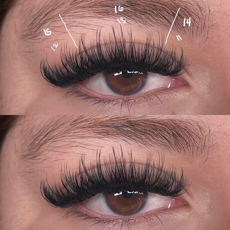 Eyelash extensions Lash Bible, Wispy Volume Set, Wispy Volume, Lash Map, Map Ideas, Lash Extensions Styles, Doll Eyes, Lashes Makeup, Lash Extensions