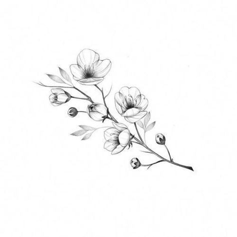 Jasmine Tattoo, Botanisches Tattoo, Black And White Flower Tattoo, Sakura Tattoo, Magnolia Tattoo, Rose Tattoos For Men, Blossom Tattoo, Cherry Blossom Tattoo, Botanical Tattoo