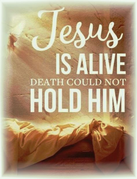 Happy Easter Quotes Inspirational, Easter Quotes Inspirational, Resurrection Quotes, Happy Resurrection Sunday, Happy Resurrection, Happy Easter Quotes, Jesus Is Alive, Inspirational Bible Verses, Jesus Is