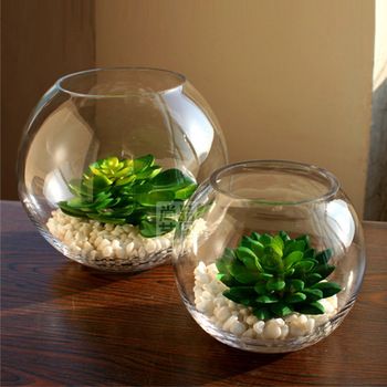 Vase Fish Tank, Kaktus Dan Sukulen, Glass Bowl Decor, Table Centerpieces For Home, Glass Vase Decor, Succulent Garden Design, Retreat Ideas, Small Glass Vases, Succulent Garden Diy