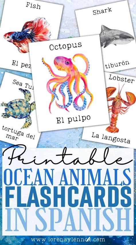 Spanish Flashcards Printable Free, Ocean Flashcards, Spanish Resource, Ocean Words, Spanish Flashcards, Spanish Learning Activities, Spanish Classroom Activities, Free Printable Flash Cards, Animal Flashcards