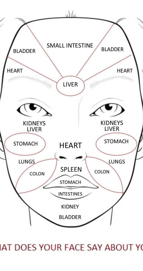 Chinese Face Map, Chinese Face Reading, Face Map, Face Massage Anti Aging, Infographic Chart, Face Mapping Acne, Body Diagram, Hand Reflexology, Skin Facts