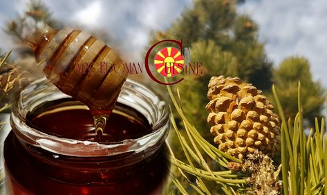 Pine Cone Syrup Recipe, Pine Cone Recipes, Pine Cone Syrup, Pine Syrup, Cone Recipes, Plant Remedies, Witches Apothecary, Medicinal Herbs Remedies, Food Foraging